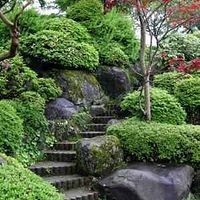 日本园林绿化