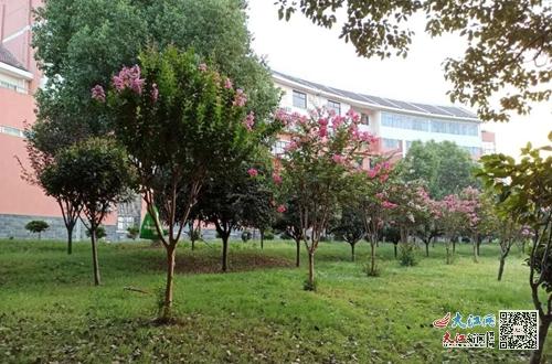 九江市育树高级中学获评为 江西省园林式单位 组图